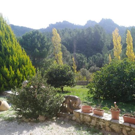 Cortijo Del Cuco Villa Riopar Luaran gambar