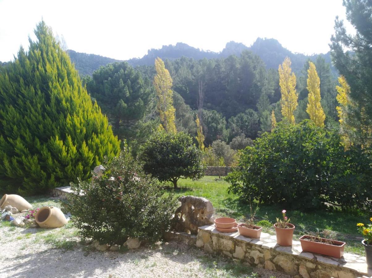 Cortijo Del Cuco Villa Riopar Luaran gambar